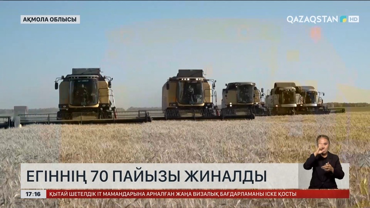Ақмолалық диқандар егіннің 70 пайызын жинады
