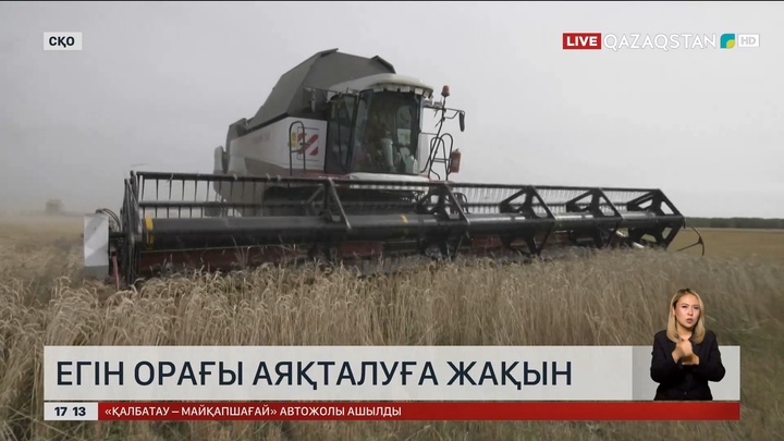 СҚО-да егін орағы аяқталуға жақын