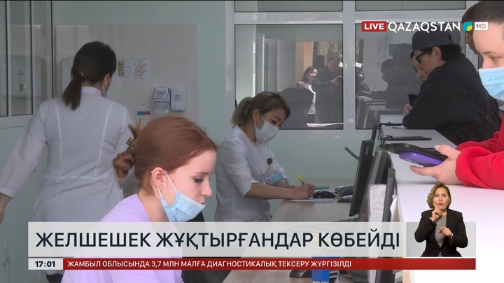 Алматыда желшешек жұқтырғандар көбейді