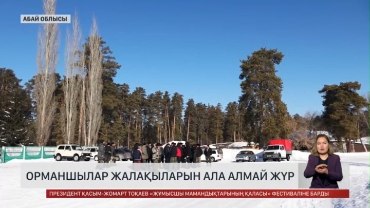 Семейде орманшылар жалақысын ала алмай жүр