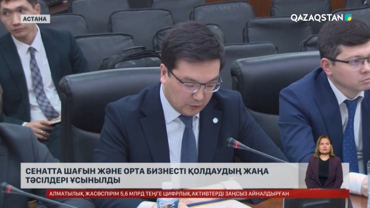 Сенатта шағын және орта бизнесті қолдаудың жаңа тәсілдері ұсынылды
