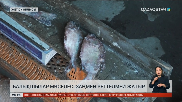 Жетісу облысында балықшылар мәселесі заңмен реттелмей жатыр
