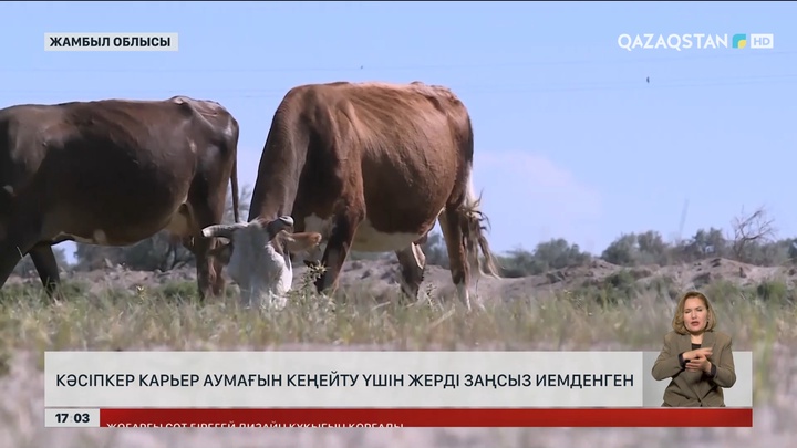 Жамбыл облысында кәсіпкер жерді заңсыз иемденген