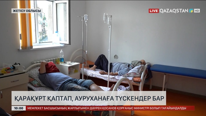 Жетісу облысында қарақұрт шаққан бір адам ауруханаға жеткізілді