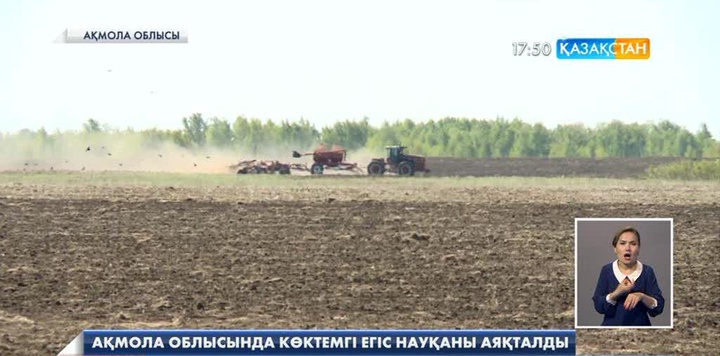 Ақмола облысында  көктемгі егіс науқаны аяқталды