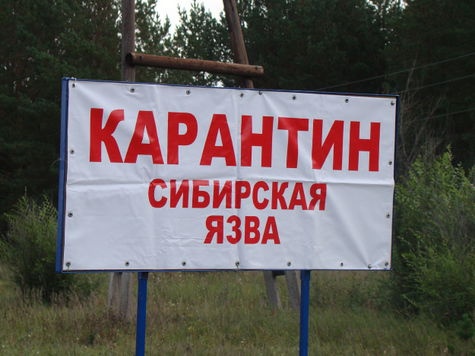 Қарағанды облысында сібір жарасын таратты деген күдікпен қылмыстық іс қозғалды