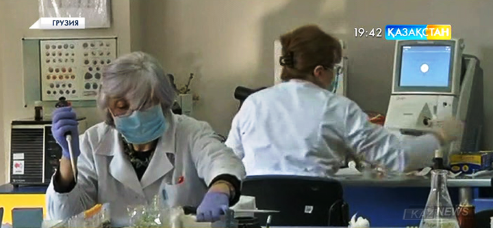 H1N1 тұмауына қарсы шаралар қабылданып жатыр