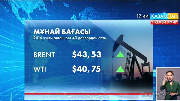 Мұнай  бағасы 43 доллардан асты
