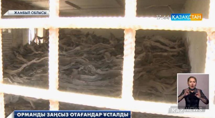 Орманды заңсыз отағандар ұсталды