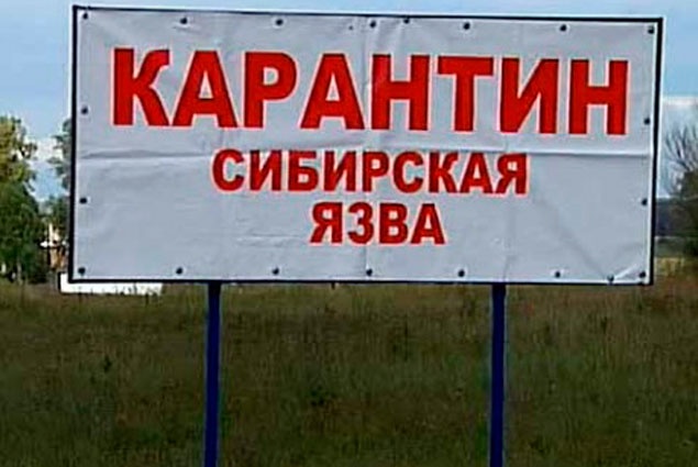 Қырғызстанда 2015 жылдың сегіз айында 14 адам сібір жарасын жұқтырған