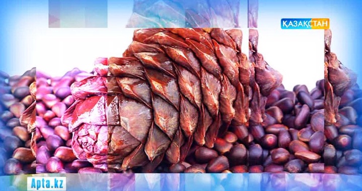 Әжелердегі клиторлық мастурбация туралы бейне